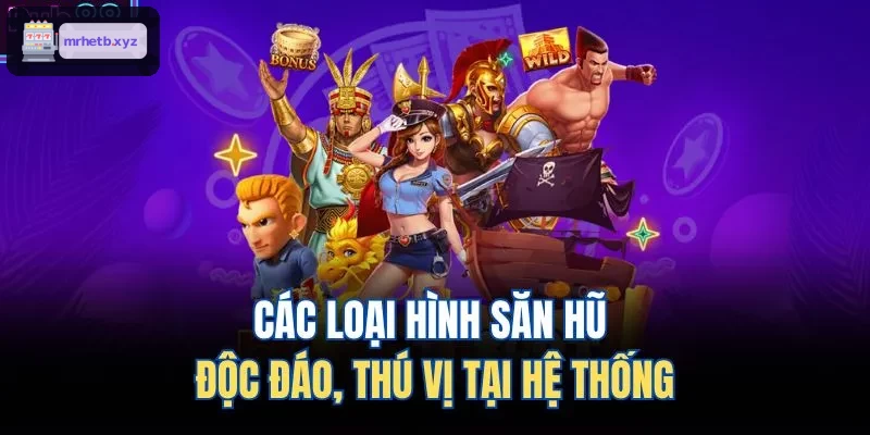 Các loại săn hũ đa dạng và thú vị tại hệ thống